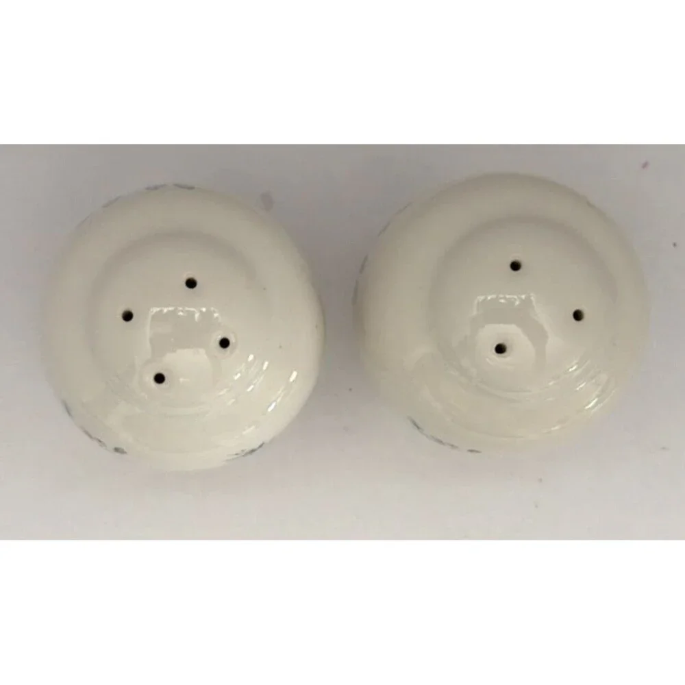 Vintage Pfaltzgraff Winter Frost Salt & Pepper Shakers Pine Bough Berry Retired